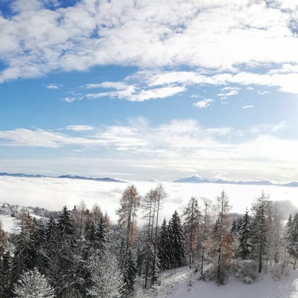 ausblick im winter