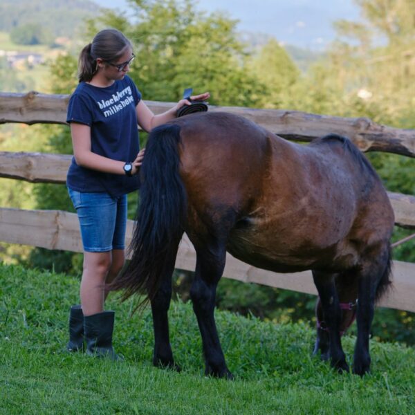 kind mit pferd