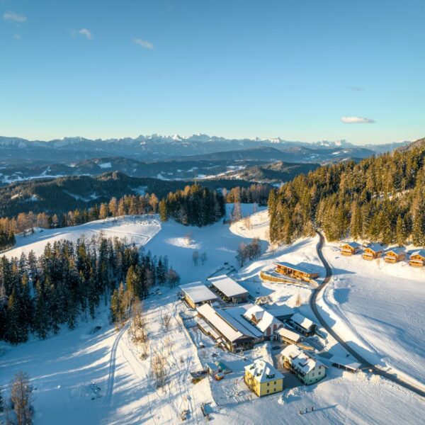 steinerhof im winter von oben